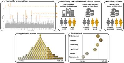 Polygenic Risk Score Prediction for Endometriosis